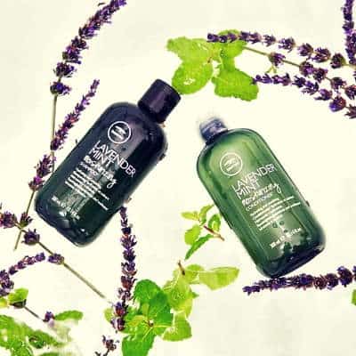 tea tree lavender shampoo