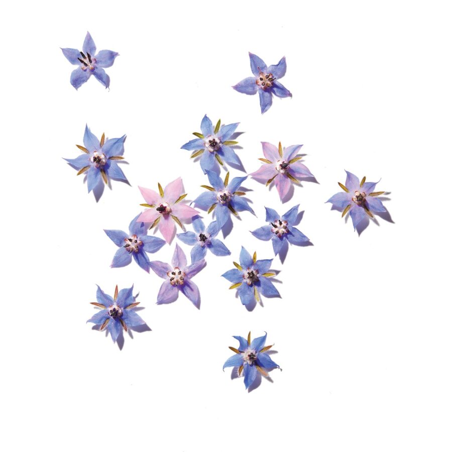 Color Protect Leave in Treatment - Image 2